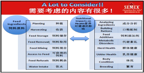 皮特范薄蔻:奶牛日粮平衡与营养难题及解答