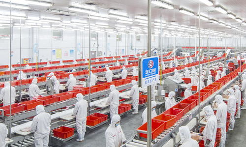 双汇王中王 实现肉制品自动化 集约化生产,全面提升智能化 信息化水平