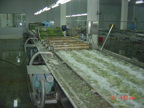 【宠物饲料生产线,时产300kg宠物食品生产线图片】宠物.