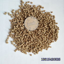 【下沉式水产品饲料膨化设备颗粒鱼粮膨化机器】- 