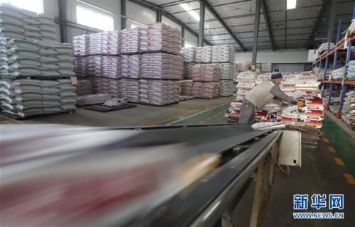 沈阳 加紧复工生产 保障饲料和畜牧产品供应