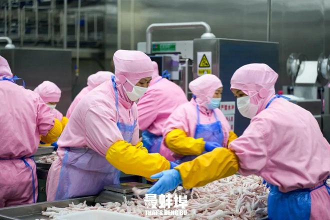 蚌埠人是如何靠一只鸡“征服”全世界的?