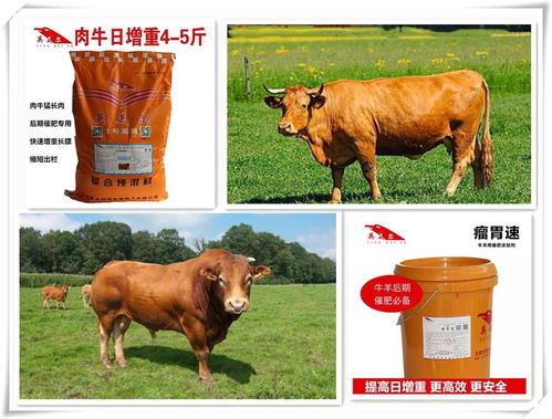 牛羊催肥添加剂 黔南都匀招牛羊饲料代理