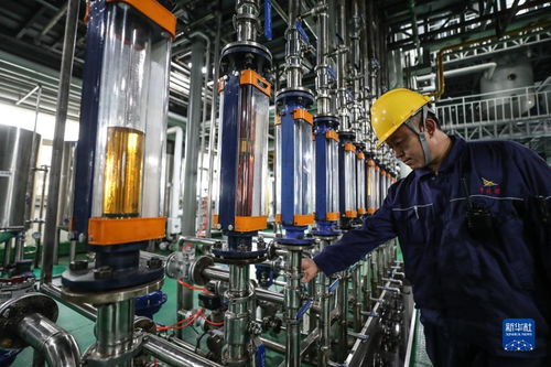 精炼米糠油延伸稻米产业链