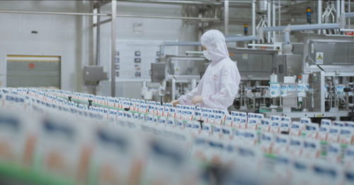 食品安全示范区验收组领导莅临花花牛乳业集团验收