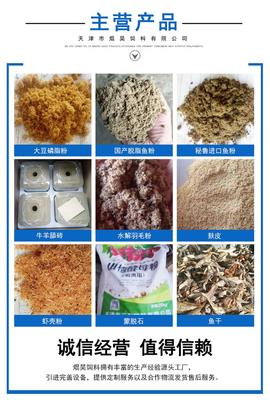 常年销售饲料鱼干 熟鱼干 水产畜禽饲料鱼干 质量放心