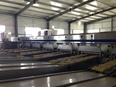 变荒山为宝地，养小鸡成大业 贵州安顺柳江畜禽公司的绿色养殖与饲料生产之路
